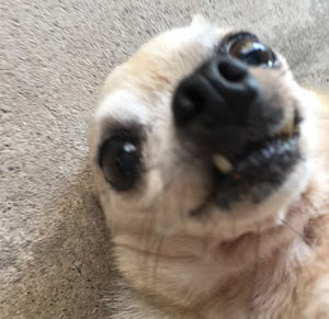 Meet your Posher, Krystal